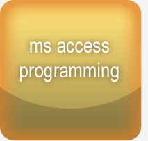 Microsoft Access Programming