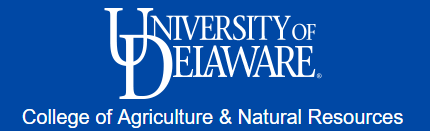 University of Delaware