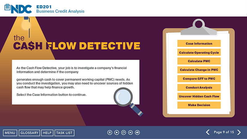 Cash Flow Detective