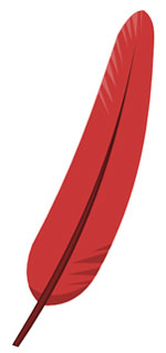 Illustration - Graphic Design - Illustration of red feather.
